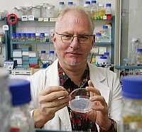 Prof. Dietrich Nies at work in his lab, photo: Maike Glöckner