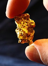 A natural gold nugget brought by Prof. Gregor Borg from eastern Congo, photo: Maike Glöckner