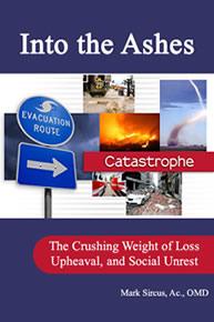 Into The Ashes e-Book