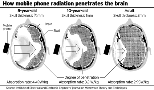 Mobile Phone Radiation Brain