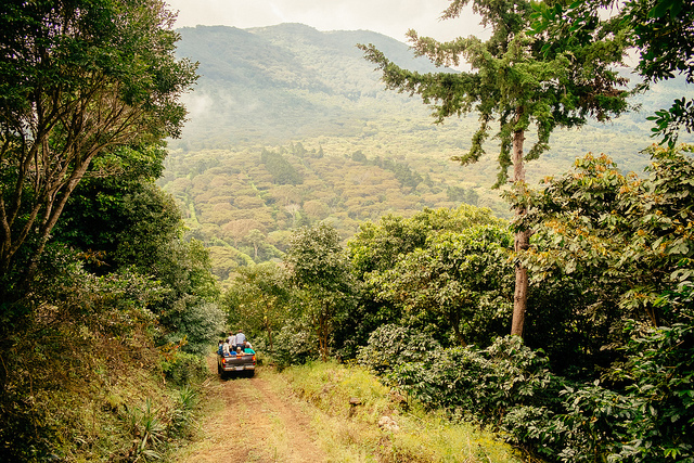 Farmers drive through the "coffee lands" of El Salvador. (Photo: Stuart)
