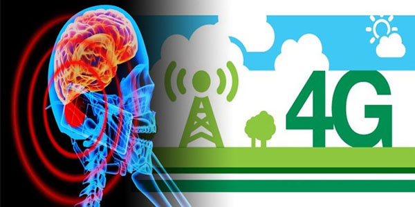 30 Minutes Exposure To 4G Cell Phone Radiation Affects Brain Activity New Study