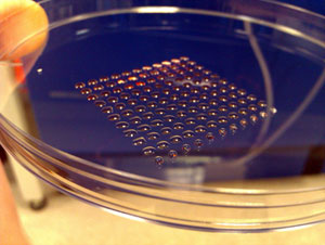http://blogs.scientificamerican.com/observations/files/2013/02/3D-Stem-Cells.jpg