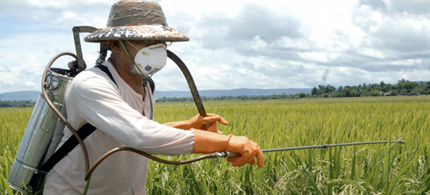 Farmer spraying his crops. (photo: Pesticide Action Network)