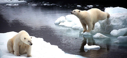 Despite the mounting evidence, some still deny climate change. (photo: Getty Images)