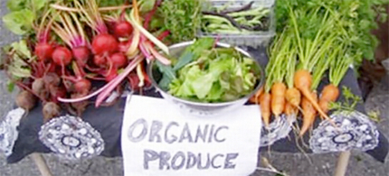 Organic foods are natures healthy alternative. (photo: Kid's Life)