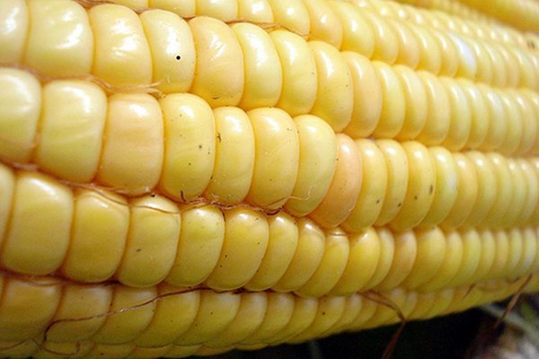 5 Easy Ways to Avoid GMO Foods
