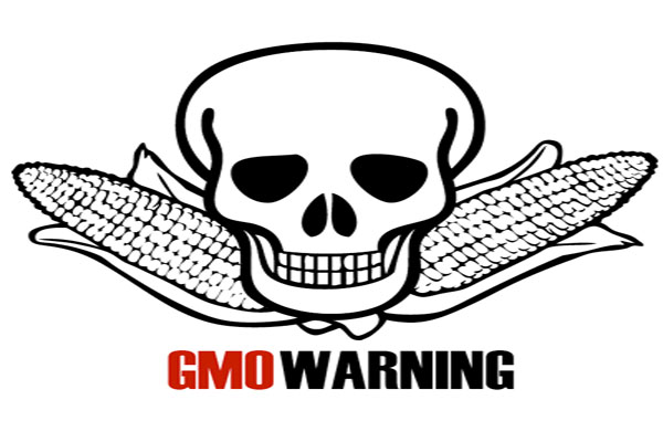 Is Genetically Modified Food Killing Us
