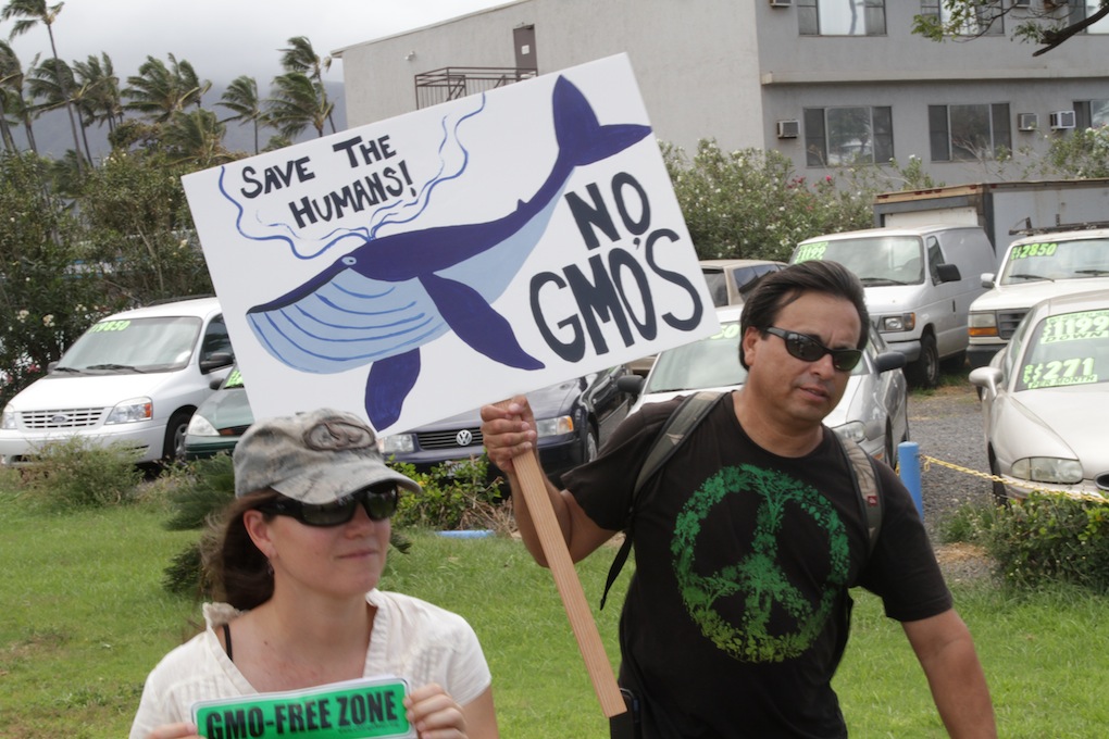 KAHULUI, HAWAII - March Against Monsanto protestors hold up a sign as they march down the main road in protest of Monsanto's GMO foods.