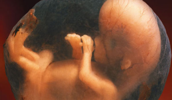 Planned Parenthood Touts over 333,000 Babies Aborted in 2011