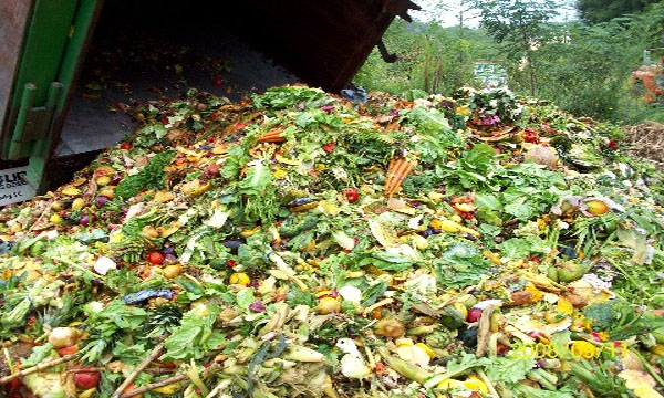 Tesco vows to act after study confirms huge food waste