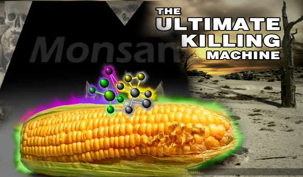 The Ultimate Killing Machine - GMOs