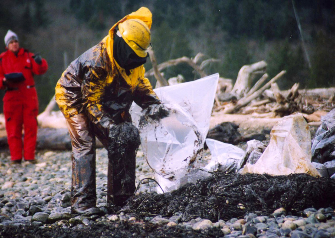 A worker cleans up the 2003 Point Wells Spill that coated the Suquamish's area of coastline, even though the spill was miles away.