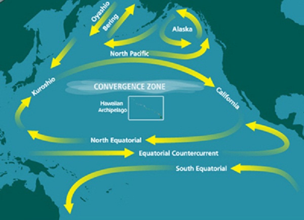 West Coast of North America to Be Hit Hard by Fukushima Radiation