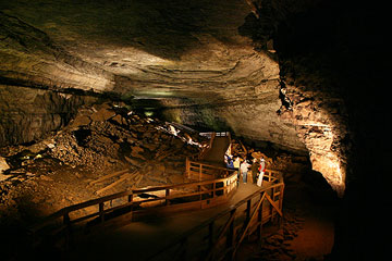 Mammoth Cave is a hidden treasure trove of natural beauty.