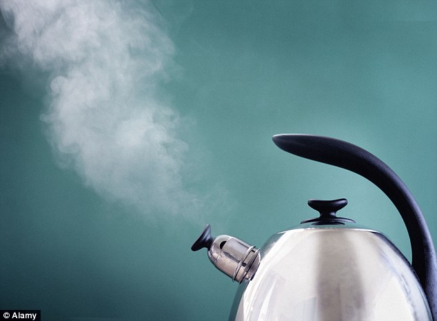 Kitchen espionage: Kettles imported to Russia from China with hidden microchips which can send spam data and possibly steal information have allegedly been found by authorities in St Petersburg