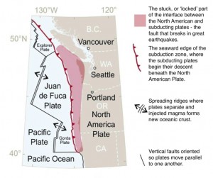 THE CASCADIA SUBDUCTION ZONE: The geography of northern California, Oregon, Washington, and southern British Columbia is shaped by the Cascadia subduction zone, where the North American Plate collides with a number of smaller plates: the largest of these is the Juan de Fuca Plate, flanked by the Explorer Plate to the north and the Gorda plate to the south. These smaller plates subduct (descend) beneath the North American Plate as they converge along a 700-mile long (1,130 km) boundary. A large portion of the boundary between the subducting and overriding plates resists the convergent motion, until this part of the boundary breaks in a great earthquake. Above: Schematic view of the source area for the largest Cascadia earthquakes. (Image adapted from U.S. Geological Survey Professional Paper 1707 (page 8), Atwater et al., http://pubs.usgs.gov/pp/pp1707/)