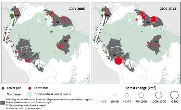 Distribution of gold mining sites with significant change in forest cover (km2) in periods 20012006 and 20072013. Green dots represent an increase in forest cover, red dots represent a decrease in forest cover, and gray areas indicate no significant change in cover.