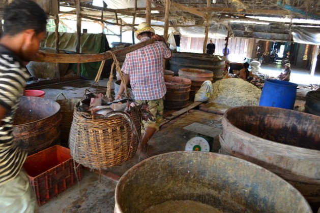 Fish being brought in and processed at a market in Cambodias northwestern Battambang province. As an LDC, Cambodia exports products duty-free to the EU. Credit: Michelle Tolson/IPS