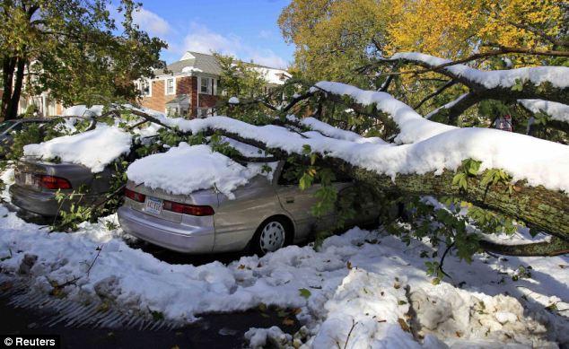 Crushed: A tree fallen on a car in Massachusetts where snowfall totals reached up to 27 inches