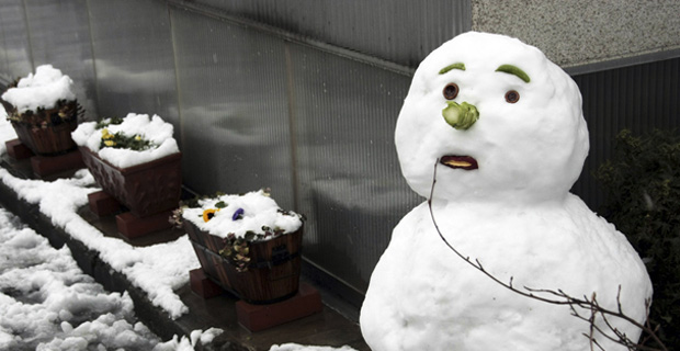Report: Obamas Terror Cells In The U.S. 091214snowman