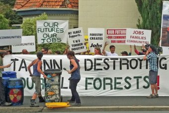 Timber company Ta Ann's Hobart headquarters targeted by activists