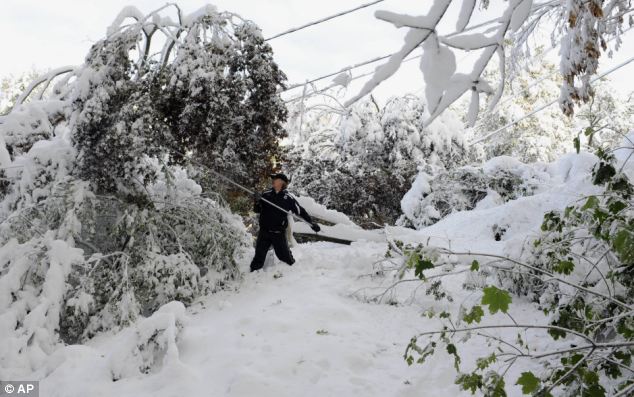 Work: Jay Ericson clears snow of branches weighing down on power lines at his home following a snow storm a day earlier in Glastonbury, Connecticut